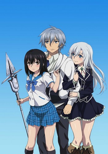 Read more about the article Удар крови / Strike the Blood OVA